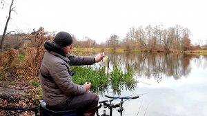 КАК ЛОВИТЬ НА ФИДЕР ПОЗДНЕЙ ОСЕНЬЮ! ФИДЕРНАЯ рыбалка 2021. СМОТРЕТЬ РЫБАЛКУ!