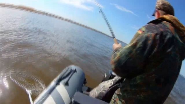 Ловля СУДАКА на джиг на Волге !!! смотреть онлайн