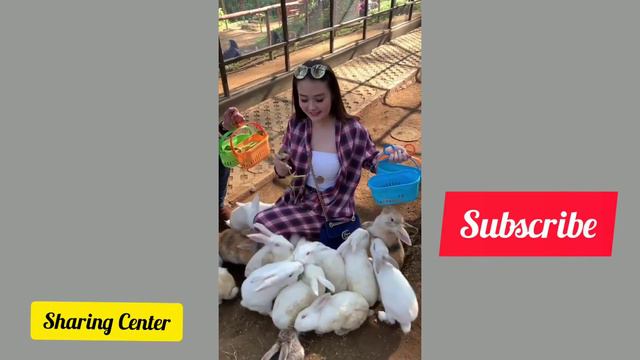 SARAH GIBSON LIBURAN BERSAMA PACARNYA смотреть онлайн