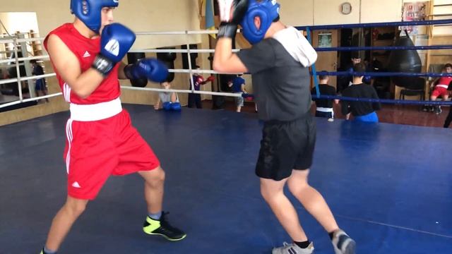 Спарринги Запорожье