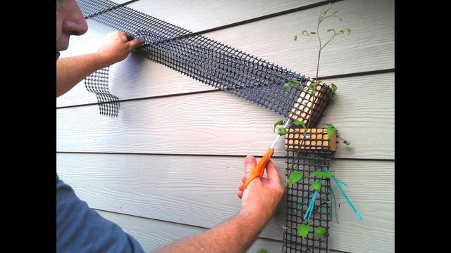This Trellis is Perfect to Support Climbing Clematis - See Why смотреть онлайн