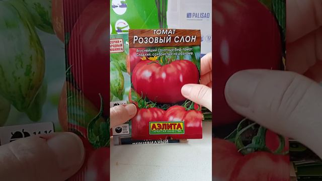 🌶️Обзор семян на сезон 2024🍅часть #1 смотреть онлайн