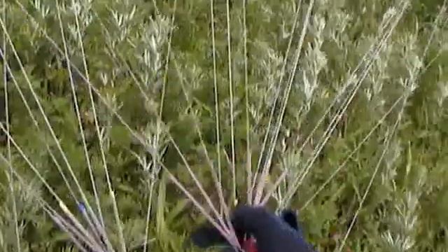 21 июня 2008 кувырок через голову Отрада