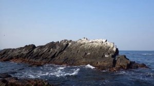 Сахалин 67.Мыс Ламанон.Маяк.