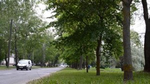 ТАКОЙ СЮРПРИЗ ОТ ЖЕНЫ Я НЕ ЖДАЛ. Истории из жизни. Жизненные аудио рассказы, измена жены