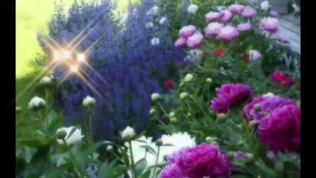 Доброго утречка с красивой песней.Хорошего денёчка. смотреть онлайн