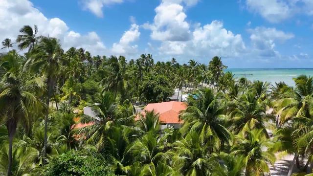 MPB As Melhores | MPB As Mais Ouvido | Cassia Eller, Caetano Veloso, Ana Carolina, Nando Reis смотреть онлайн