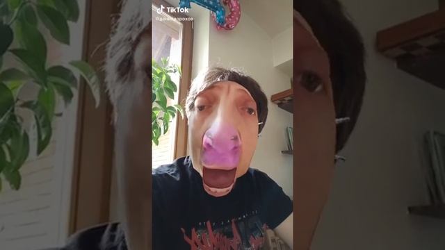 Денис Дорохов Тик Ток подборка смотреть онлайн