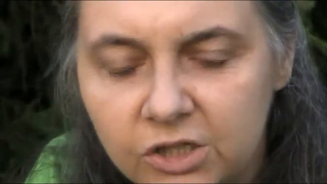 "Живая антология" Елена. Учитель рисования. Москва смотреть онлайн