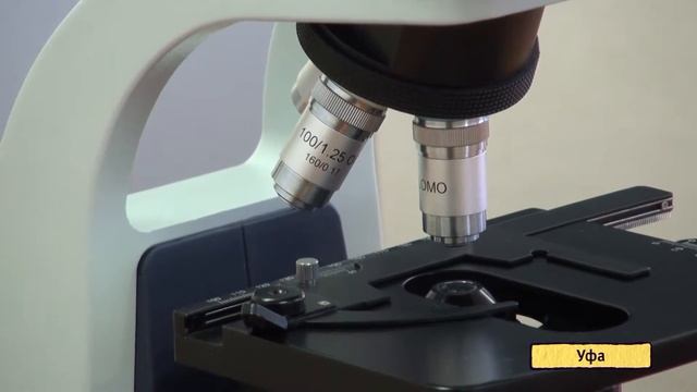 U News. Лучший лаборант ПФО