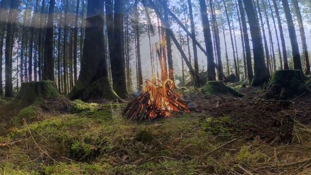 Песни у костра | Даргорея смотреть онлайн