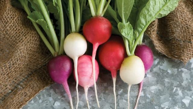 Выращивание редиса в открытом грунте как бизнес идеи смотреть онлайн