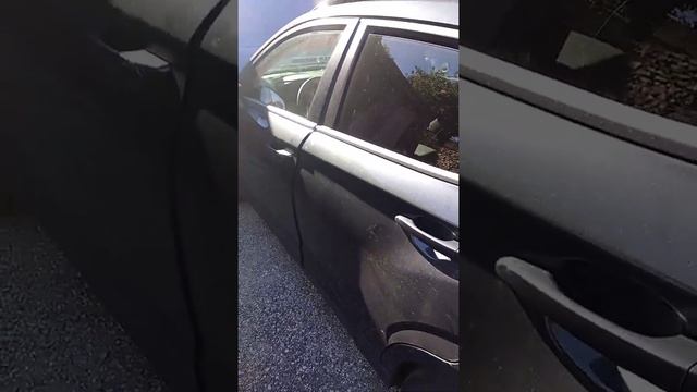 Kona Hyundai électrique 2022