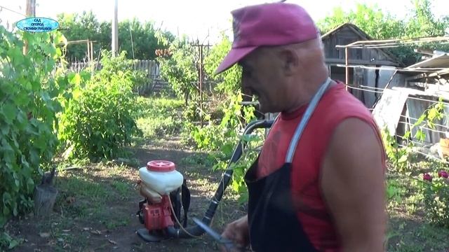 ВИНОГРАД. СРОЧНАЯ ЗАЩИТА ОТ ОИДИУМА И МИЛДЬЮ!!! смотреть онлайн