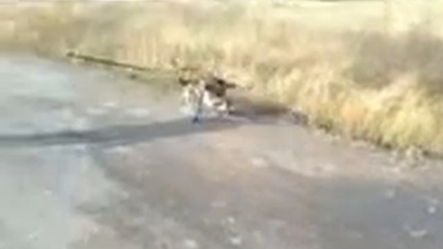 МаркМобиль смотреть онлайн