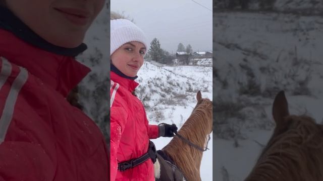 ПЕРВЫЙ РАЗ ПОЕХАЛИ ПО ДЕРЕВНЕ? #деревня #жизньвдеревне #русскаядеревня #конюшня #ферма #лошади смотреть онлайн