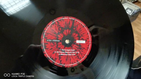 A - HA a ha – Lifelines 2019