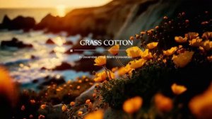 Приятная теплая успокаивающая музыка. Музыка для чтения и отдыха.