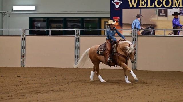 Chloe Elsner & Metallic Super Star GSSHA Futurity Rein смотреть онлайн