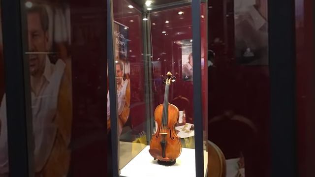 Cremona Mondomusica 2016 - Violin Girl Playing A Parma Guadagnini