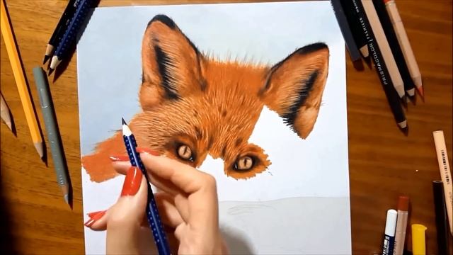 Speed Drawing of a Red Fox - Colored Pencil Artwork | Jasmina Susak смотреть онлайн