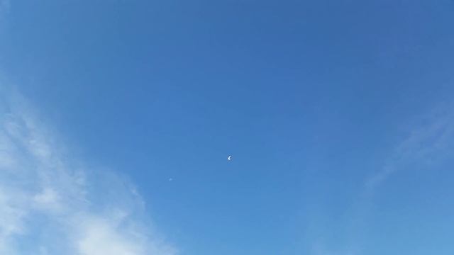 Bob Vid3: Bob's first virgin flight смотреть онлайн