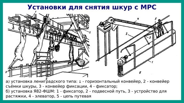Оборудование для мойки туш, обработки шкур и снятия щетины | ТО мясокомбинатов | Лекция 4 смотреть онлайн