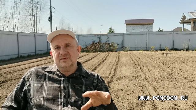 Подмосковье. Сроки посева, посадки овощей и зелени в 2020 году. Когда сеять не поздно? Оптимально! смотреть онлайн