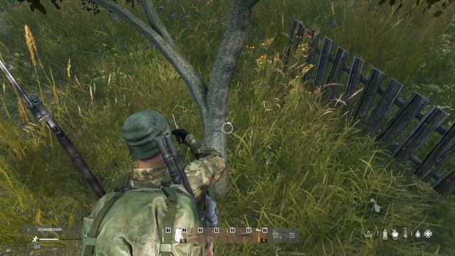 DAYZ | - DIE WICHTIGSTEN 