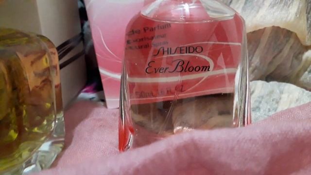 BECAUSE IT'S YOU#ARMANI/#SHISEIDO EVER BIOOM/#YvesSaintLaurent Black Opium