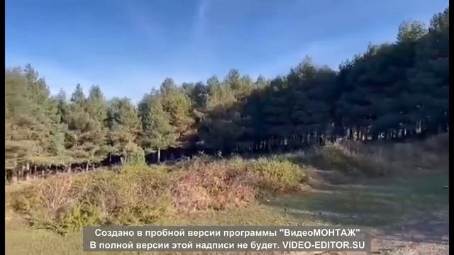 Поиски грибов в Испании.