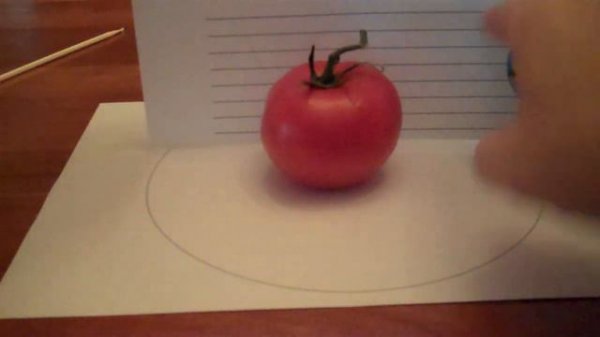 Earth Moon Sun Model