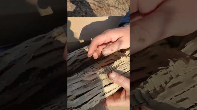 Питомник растений Росток  в Челябинске-шок