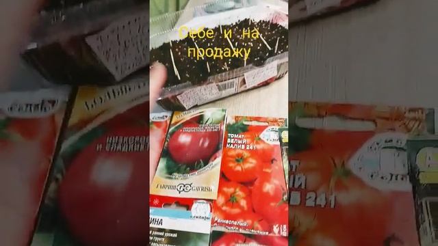 Что посадила себе и на продажу рассады, сорта томатов и ампельные петунии #дача #огород#цветы#семен смотреть онлайн