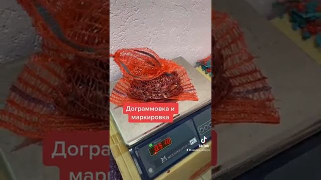 Фасовка Голландского лука-севка. Уже в наличии! Отправка на следующий день! смотреть онлайн