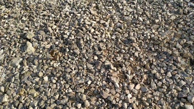 Удачная рыбалка Река Ока смотреть онлайн