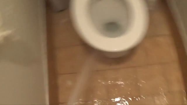 Как ходят люди в общественный туалет смотреть онлайн