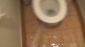 Как ходят люди в общественный туалет