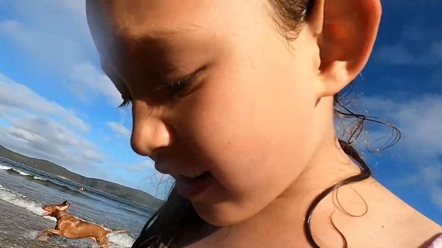 Escaping the Grind: Exploring Sydney Aquarium & Umina Beach смотреть онлайн