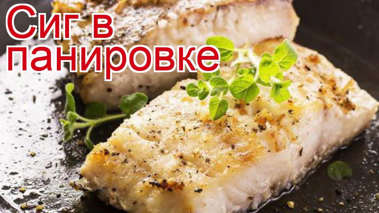ДикоЕд - самая натуральная еда