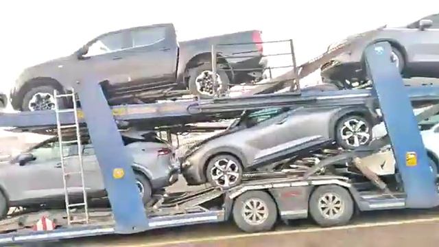 Eurolohr 1.23, NL-DE, 8 x Nissan mix: Navarra, 5xQuashqai, 2xLeaf, Juke. смотреть онлайн