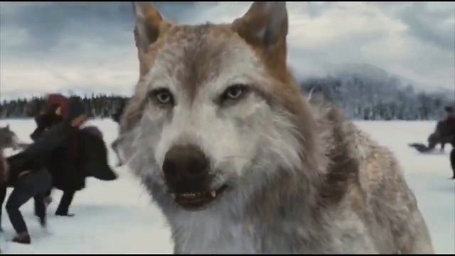 У волков закон такой - умрёт она, умрёт и он смотреть онлайн