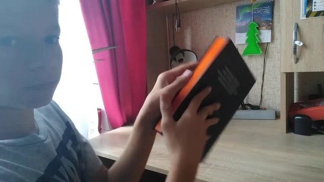 Книга Майнкрафт авария