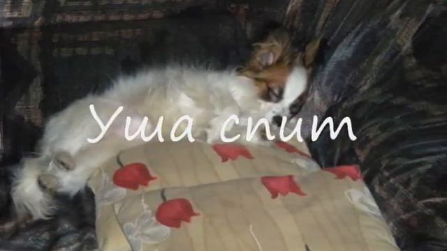 Уша спит смотреть онлайн
