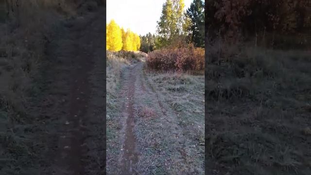 жизнь прожить не поле перейти Высоцкий смотреть онлайн