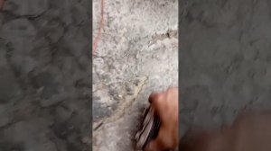 Хонда СРВ 2005г. К20А4 Зашумел подшипник. Снимаем кондицтонер.