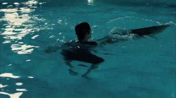 Dolphin Tale HD Music Video   'Safe' by Westlife