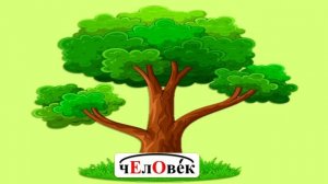 Тема 20. Правописание непроверяемых безударных гласных в корне слова