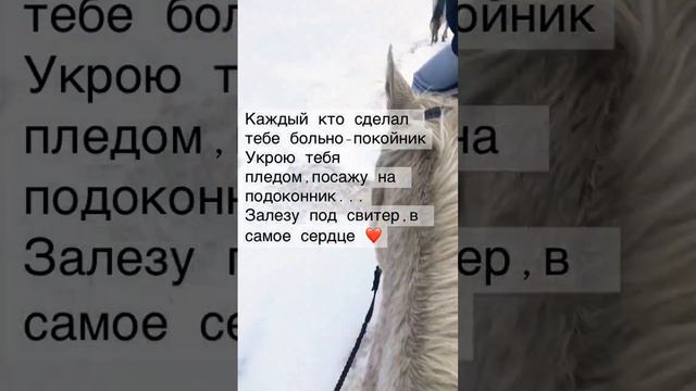 Просто пой💞#песня#лошадь#подпишись#видео смотреть онлайн