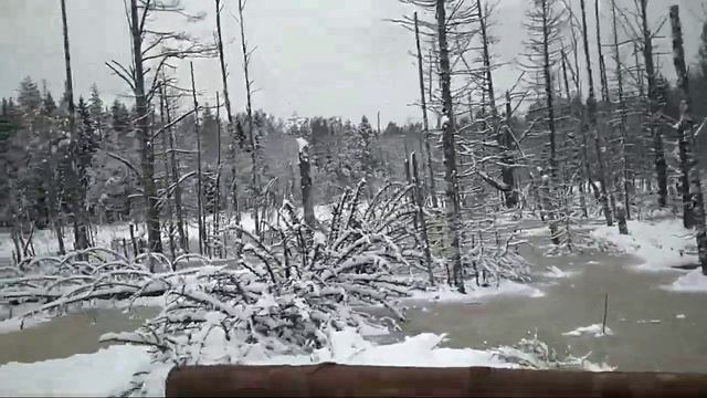 МРСК ЦЕНТРА Учения в Тверской области 15.11.2018 смотреть онлайн
